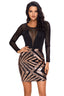 Black Sheer Mesh Long Sleeve Champagne Club Dress